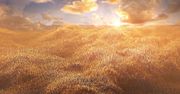 3DMark sprawdzi wydajność... magistrali PCI-Express [AKT.]