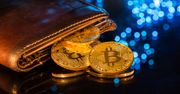 Gdzie "trzyma się” kryptowaluty? O portfelach, które nie są portfelami