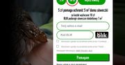 BLIK - płatności z banera mają olbrzymi potencjał