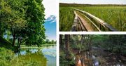 Poleski Park Narodowy - świetny wybór na weekendową wycieczkę