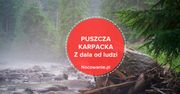Wypoczynek z dala od ludzi - Puszcza Karpacka