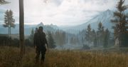 Kontynuacji jednej z najlepszych gier na PS4 nie będzie, ale ekranizacja już tak