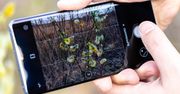 Zdjęcie ze smartfona to początek - co postprodukcja potrafi wyciągnąć ze zdjęć z Huawei P30 Pro