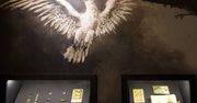 Muzeum Warmii i Mazur na 100-lecie niepodległości