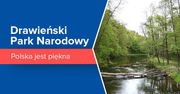 Polska jest piękna: Drawieński Park Narodowy