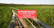 5 pomysłów na jednodniowe wycieczki po Lubelszczyźnie. Gdzie się wybrać?
