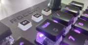 To koniec. Żegnaj, Roccat