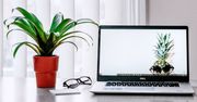 Windows 10 chce ci kasować programy - dla oszczędności miejsca