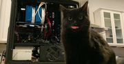 Nvidia planuje kartę Titan RTX - znamy pierwsze szczegóły
