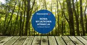 Wyrusz na wyjątkowy spacer po lesie! Nowa atrakcja turystyczna Starego Sącza