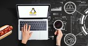 Do parówki tylko ketchup. Jeśli bezpieczeństwo, to tylko Linux