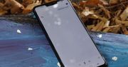 Dowcipy Asystenta Google - oto nasze ulubione