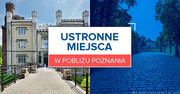 Ustronne miejsca w pobliżu Poznania