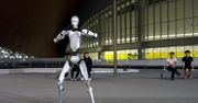 Marzyłeś kiedyś o swoim robocie? Już możesz go kupić w Polsce