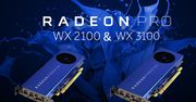 AMD Radeon Pro WX 3100 i 2100 - konkurencja dla Quadro P600 i P400