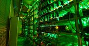 Kopacze kryptowalut na celowniku – rząd chce zwiększyć podatki