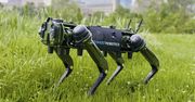 Elektronika bez szans. Amerykańskie służby chwalą się robopsem do zadań specjalnych