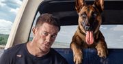 Niejeden twardziel uroni tu łzę - recenzja filmu Pies