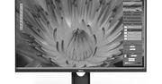 Dell rezygnuje z 30-calowego monitora OLED 4K