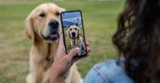 Cukiereczek wśród smartfonów, ale czy w ładnym papierku? ZenFone 9 zaprezentowany