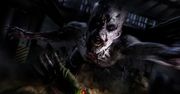 Techland śle noworoczne życzenia i obiecuje przypomnieć nam o Dying Light 2