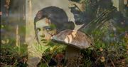 Grzyb z The Last of Us istnieje. Czy może unicestwić ludzkość?