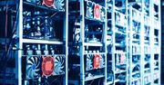 Górnicy rzucili się na Bitcoina – rekordowe zyski z kopania kryptowaluty