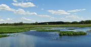 Podlaski Przełom Bugu wiosną - galeria zdjęć