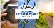 Najpiękniejsze miejsca do wiosennego fotografowania w Polsce. Gdzie się wybrać?