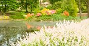 Arboretum Wojsławice - miejsce, które warto zobaczyć jesienią!