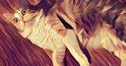 Szalenie popularna Prisma dotarła na Androida
