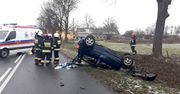 Dachowanie w Studźcach