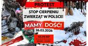 Protest "STOP cierpieniu zwierząt". Rusza Marsz Wyzwolenia Zwierząt w Polsce