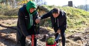 "Ale Zasadził!" – piłkarze Warty Poznań znowu sadzą drzewa dla klimatu