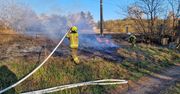 Pożar przy torach w Chodzieży! Ogień objął setki metrów traw