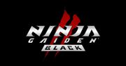 Recenzja gry NINJA GAIDEN 2 Black
