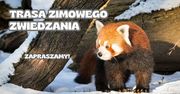 Trasa zimowego zwiedzania ZOO Płock [MAPA]