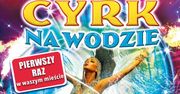 Konkurs - mamy bilety na wodny cyrk!
