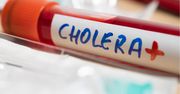 Cholera: zapomniana choroba, która wraca. Co warto wiedzieć w 2025 roku?