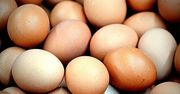 Kryzys jajeczny w USA! Amerykanie szukają pomocy w Polsce i Litwie, ceny biją rekordy