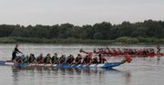 VIII Festiwal Smoczych Łodzi na Zalewie Włocławskim – sportowa rywalizacja i mnóstwo emocji