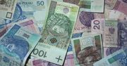 Chcą zachęcać do zakładania rodzin! Czy to zapowiedź "podatku bykowego"?