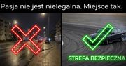 Nowe przepisy drogowe: koniec driftu i jazdy na jednym kole na drogach publicznych!