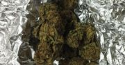 19-latek odpowie za posiadanie marihuany