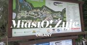 MiastO!Żyje - Mieszkania na start, Nowy woliera dla Orłanów - 13.02.26r.