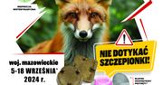 Jesienna akcja szczepień ochronnych lisów wolno żyjących przeciwko wściekliźnie