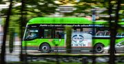 Sześć linii autobusowych w powiecie golubsko-dobrzyńskim. Starostwo walczy z wykluczeniem komunikacyjnym