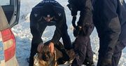 Policjanci uratowali życie psa w Przysowach. Dramatyczna interwencja podczas mrozów!