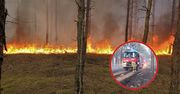 Pożar lasu w Biernatowie. Spłonęło 18 hektarów