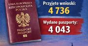 Paszport bliżej domu. Ostrowiecki punkt obsłużył tysiące mieszkańców w pół roku